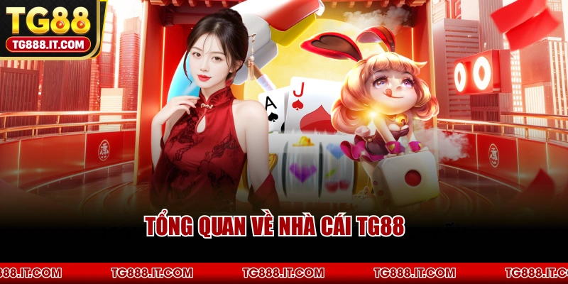Tổng Quan Về Nhà Cái TG88